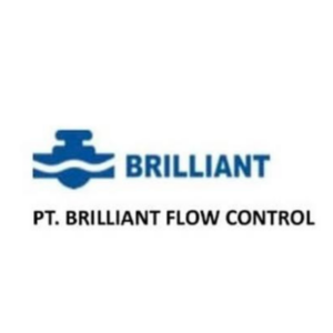 PT Brilliant Flow Control
