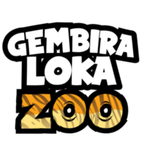 Lowongan Kerja Gembira Loka Zoo Staff Perawat Swasta