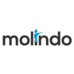 PT Molindo Raya Industrial
