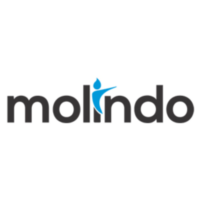 Lowongan Kerja PT Molindo Raya Industrial MANAGEMENT TRAINEE
