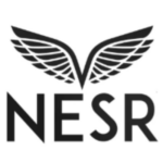 PT NPS Energy Indonesia (NESR Indonesia)